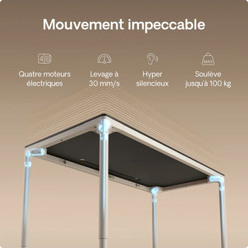 Charger l'image dans la galerie,