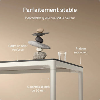 Charger l'image dans la galerie,