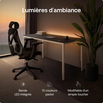 Charger l'image dans la galerie,