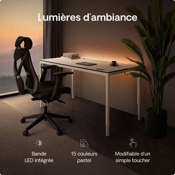 Charger l'image dans la galerie,