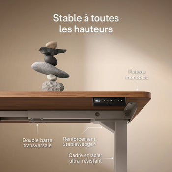 Translation missing: fr.products.product.gallery_thumbnail_alt