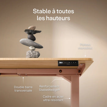 Translation missing: fr.products.product.gallery_thumbnail_alt