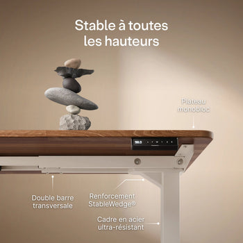 Translation missing: fr.products.product.gallery_thumbnail_alt