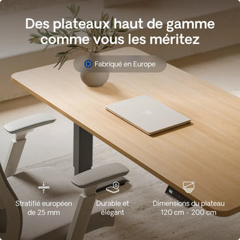 Charger l'image dans la galerie,