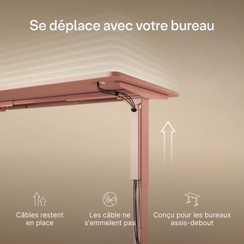 Translation missing: fr.products.product.gallery_thumbnail_alt