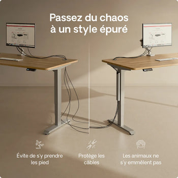 Charger l'image dans la galerie,