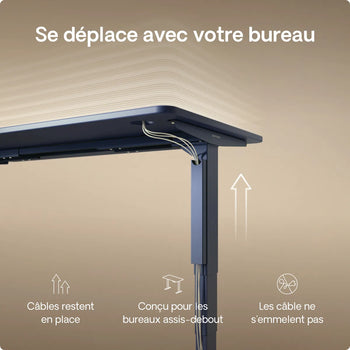 Charger l'image dans la galerie,