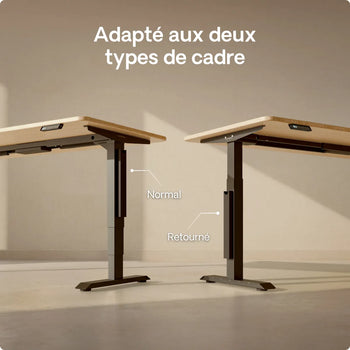 Charger l'image dans la galerie,