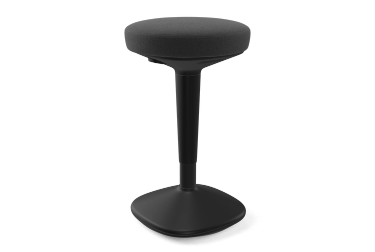 files/Balance_Stool_2ba57849-4466-4ff6-8cb4-c84ae3f26a3c.webp