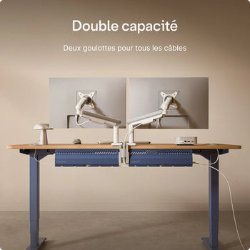 Charger l'image dans la galerie, 
