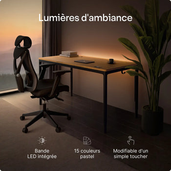 Charger l'image dans la galerie, 
