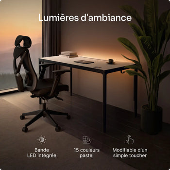 Charger l'image dans la galerie, 

