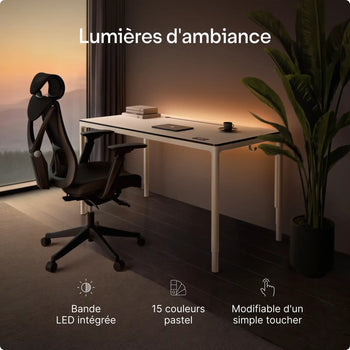 Charger l'image dans la galerie, 
