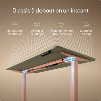 Charger l'image dans la galerie, 
