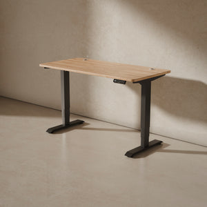 Bureau assis debout HomePro