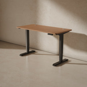 Bureau assis debout HomePro