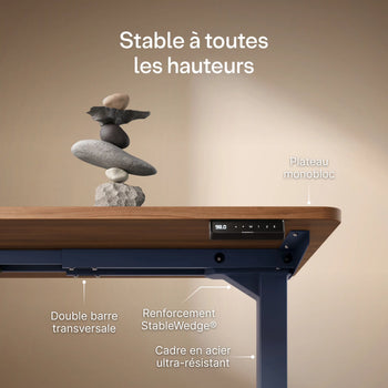 Translation missing: fr.products.product.gallery_thumbnail_alt
