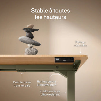 Translation missing: fr.products.product.gallery_thumbnail_alt
