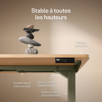 Translation missing: fr.products.product.gallery_thumbnail_alt
