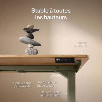 Translation missing: fr.products.product.gallery_thumbnail_alt
