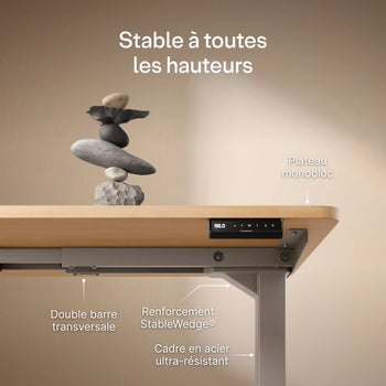 Translation missing: fr.products.product.gallery_thumbnail_alt
