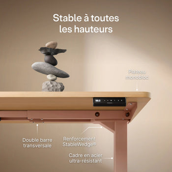 Translation missing: fr.products.product.gallery_thumbnail_alt
