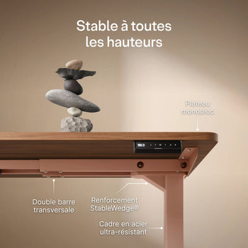 Translation missing: fr.products.product.gallery_thumbnail_alt

