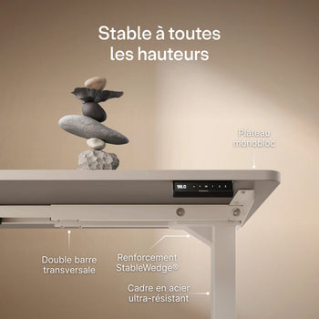 Translation missing: fr.products.product.gallery_thumbnail_alt
