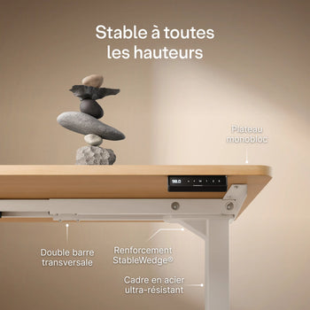 Translation missing: fr.products.product.gallery_thumbnail_alt
