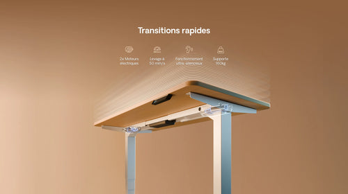 Bureau assis debout HomePro