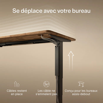 Translation missing: fr.products.product.gallery_thumbnail_alt
