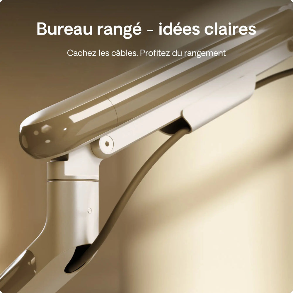 Support pour moniteur