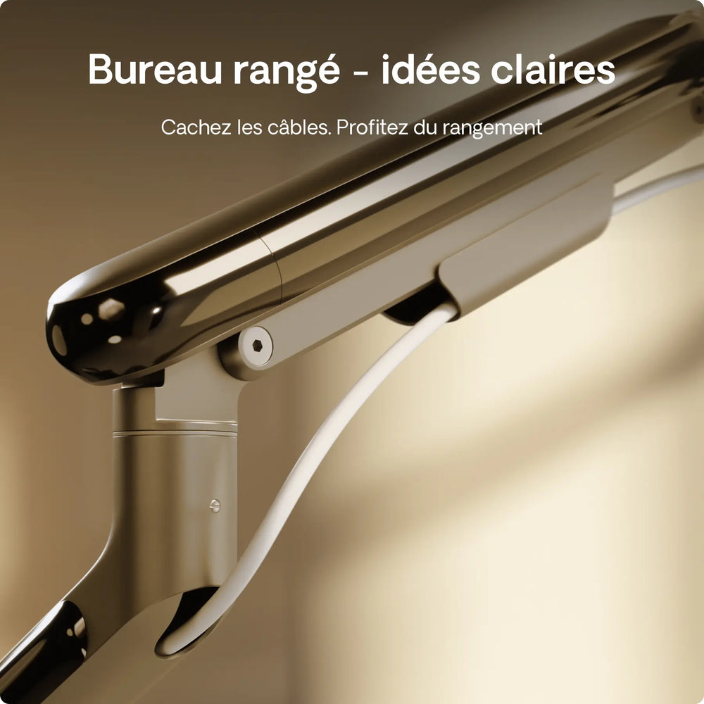 Support pour moniteur