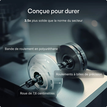 Charger l'image dans la galerie, 
