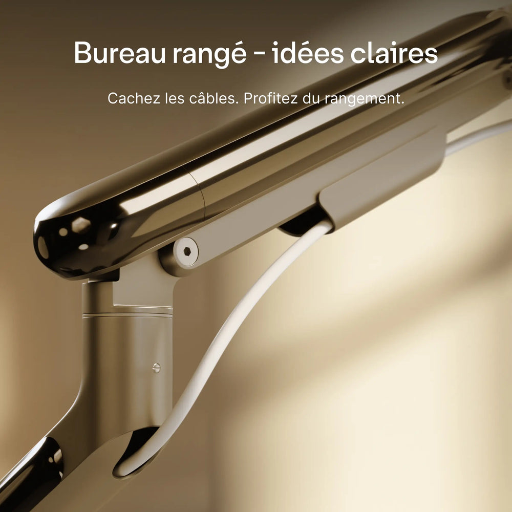 Support pour moniteur