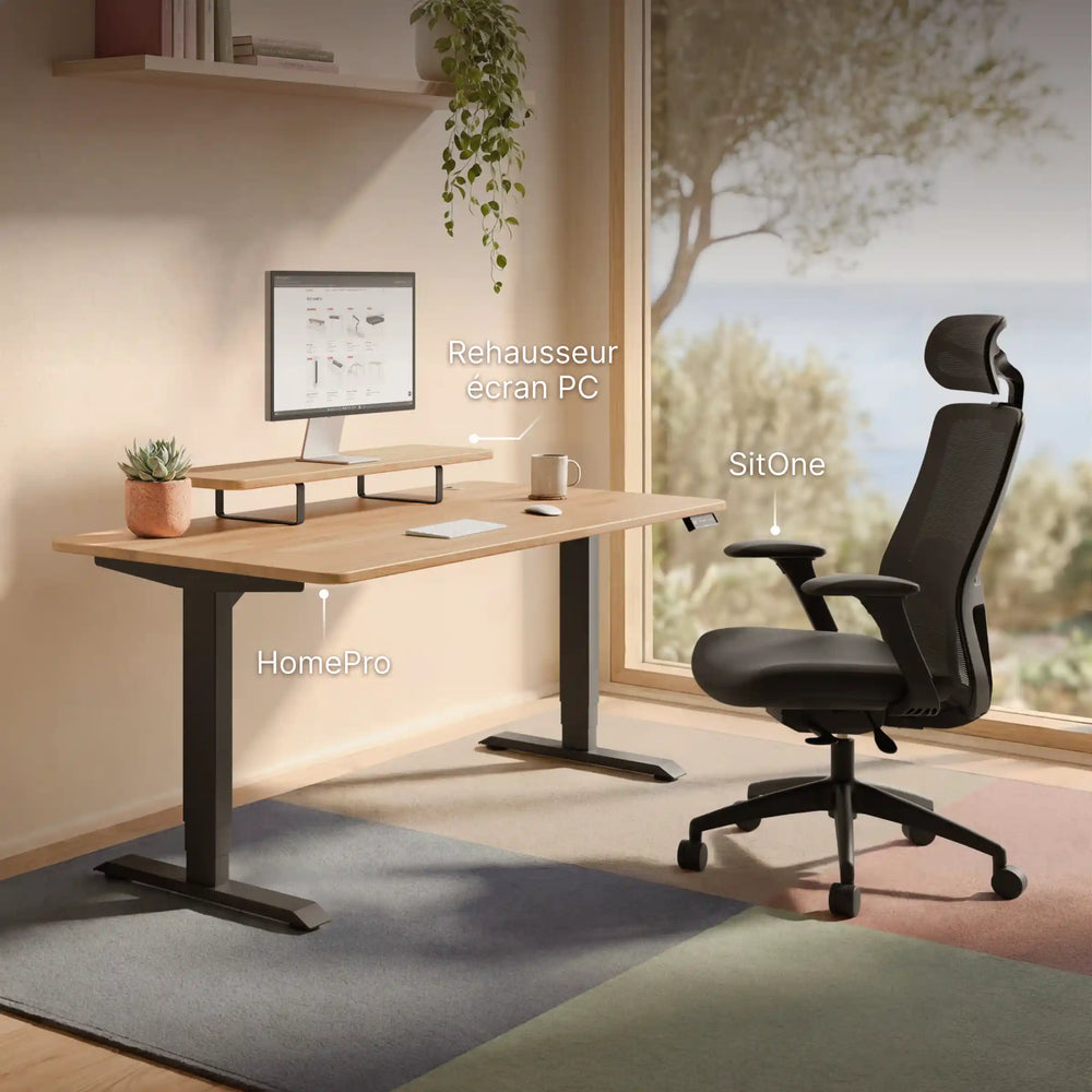 Chaise de bureau SitOne