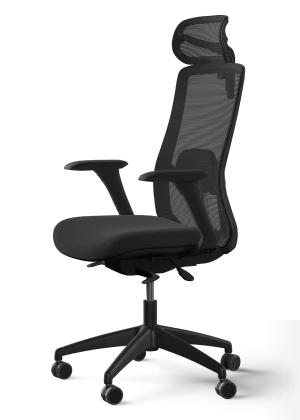 Chaise de bureau SitOne